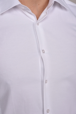 Shell basic slim ing